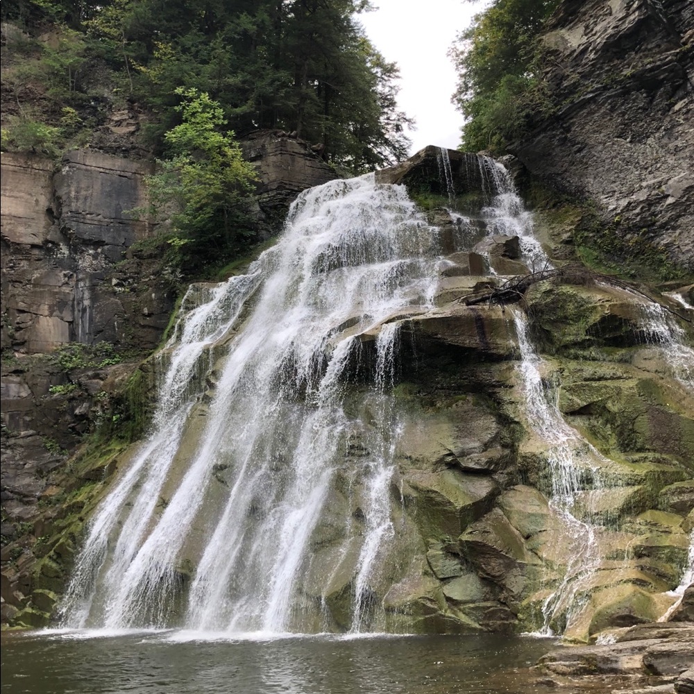 Meet your Posher, Judi